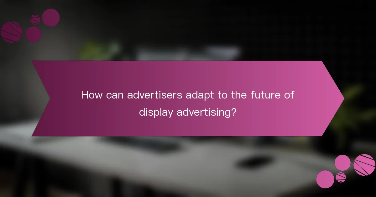 How can advertisers adapt to the future of display advertising?