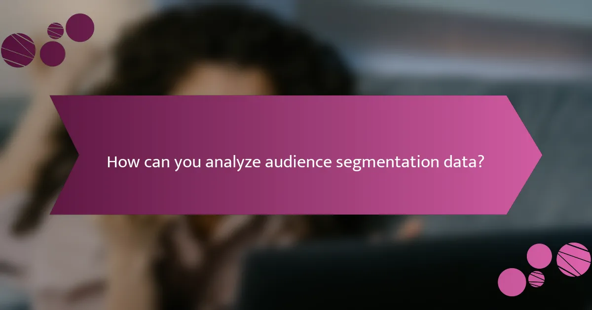 How can you analyze audience segmentation data?