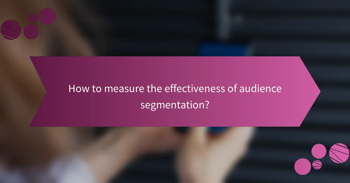 How to measure the effectiveness of audience segmentation?
