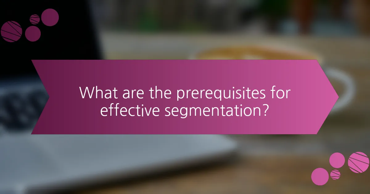 What are the prerequisites for effective segmentation?
